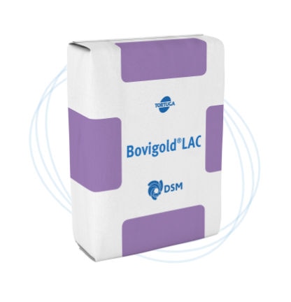 Bovigold® LAC