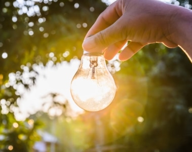 Concentrado Energético para Porcas