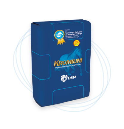 Kromium