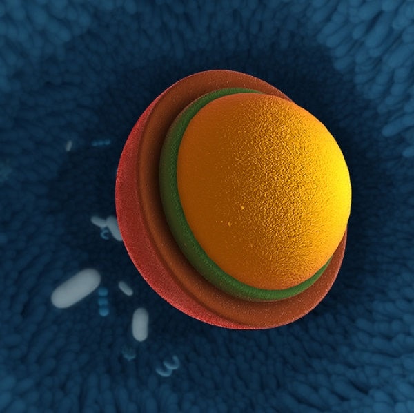 Das erste „biotische“ Vitamin mit patentierter Microbiome Targeted ...