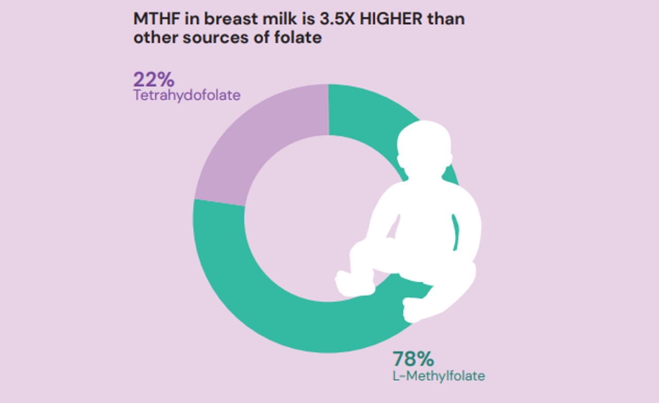 Metafolin Infografik Teaser