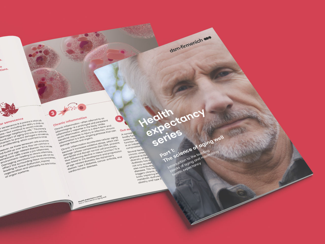 Whitepaper-Bild