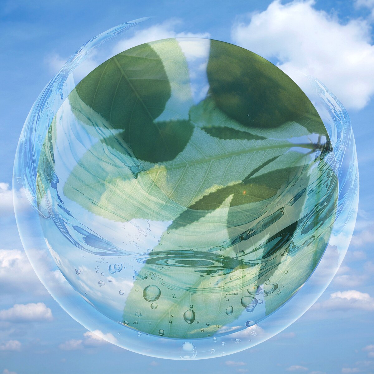 popscent eco max