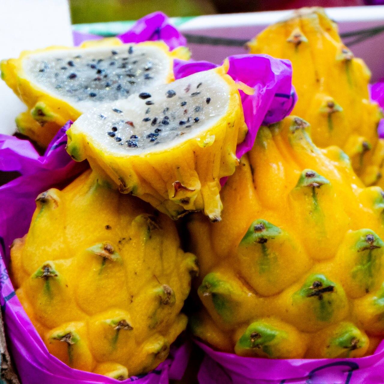 Bold & Exotic Dragon Fruit