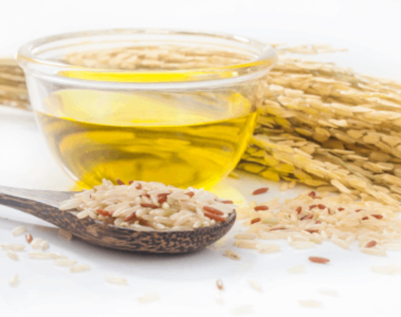 tile-fats-and-oils-processing-purifine.png