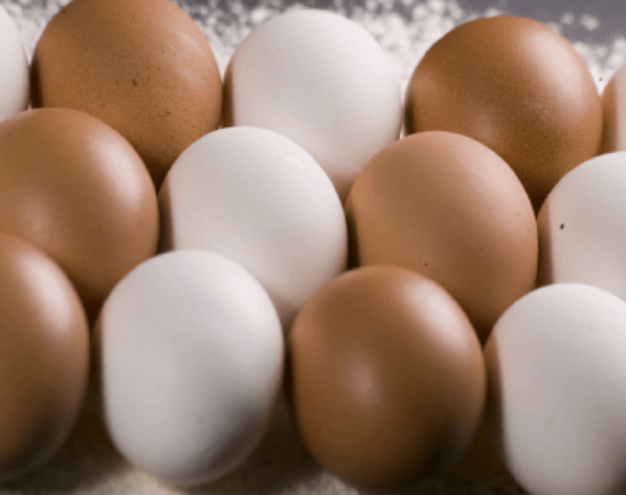 tile-egg-processing.png