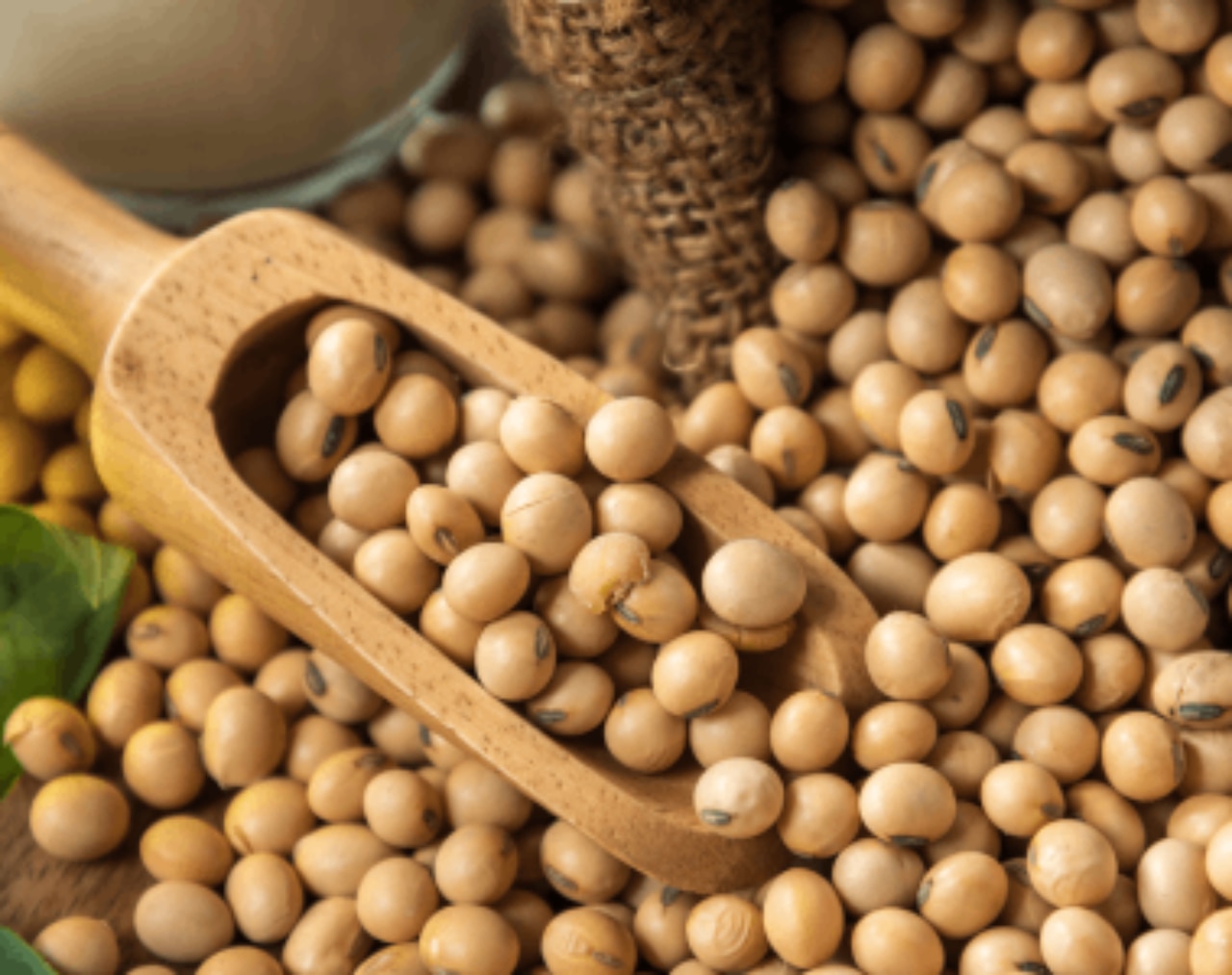 tile-ingredient-processing-soybean.png