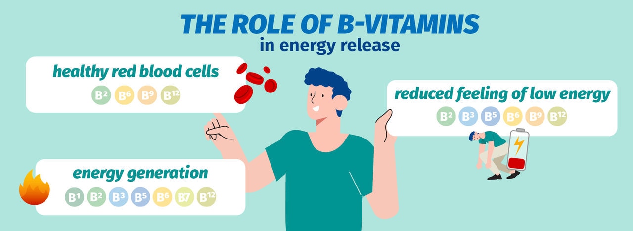 Die Rolle der B-Vitamine