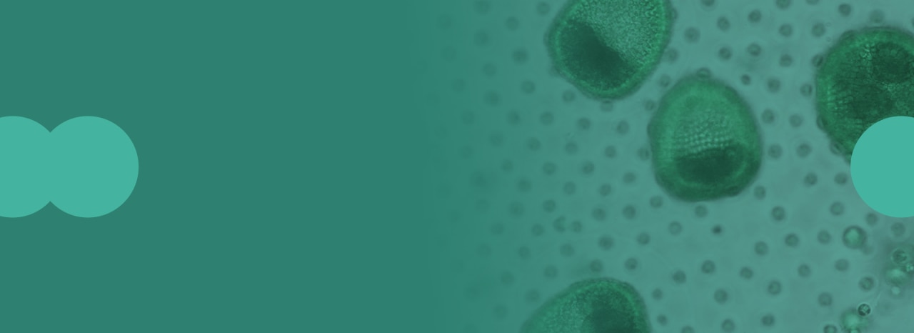 Banner ASPEN24