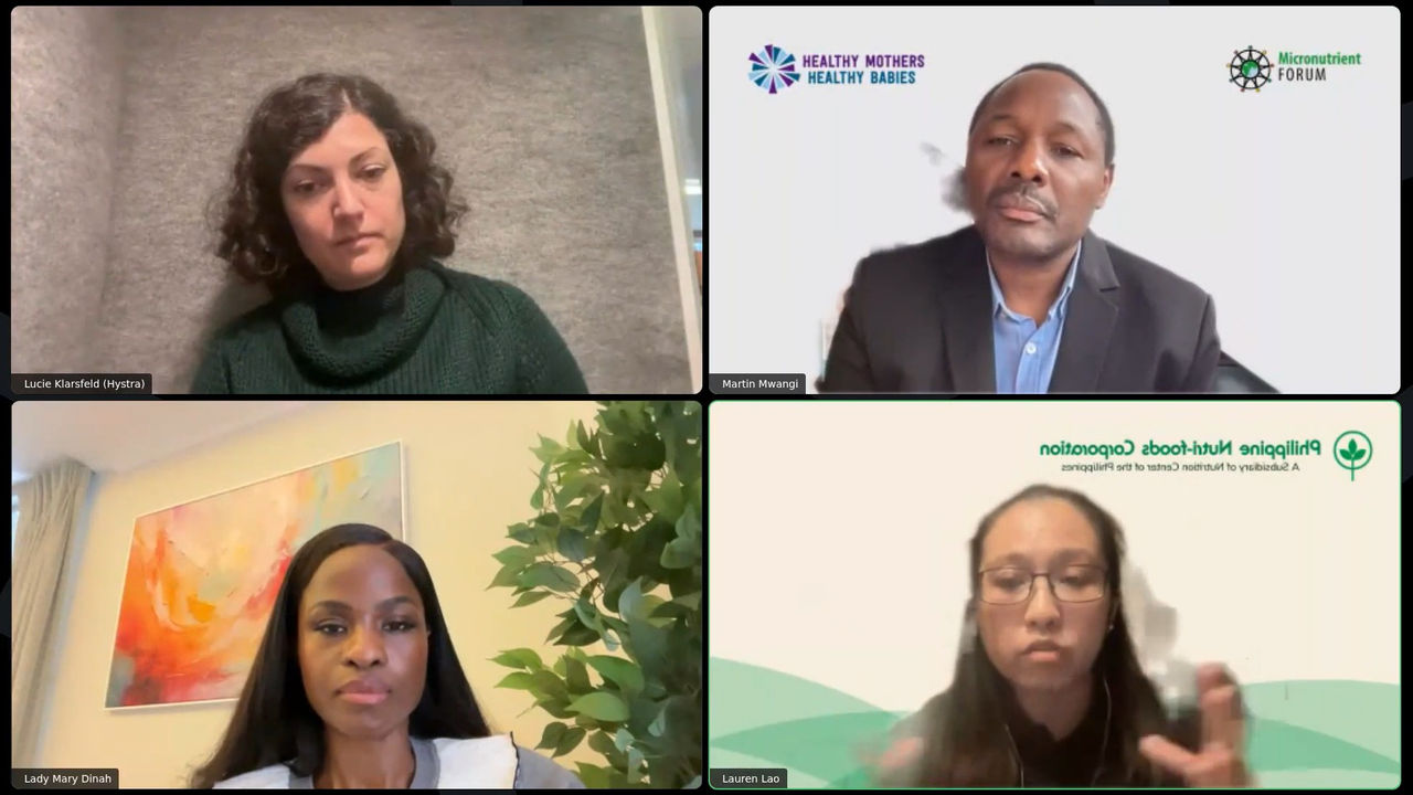 hmo webinar screengrab