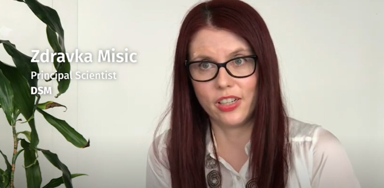 Expert Zdravka Misic Principal Scientist DSM 