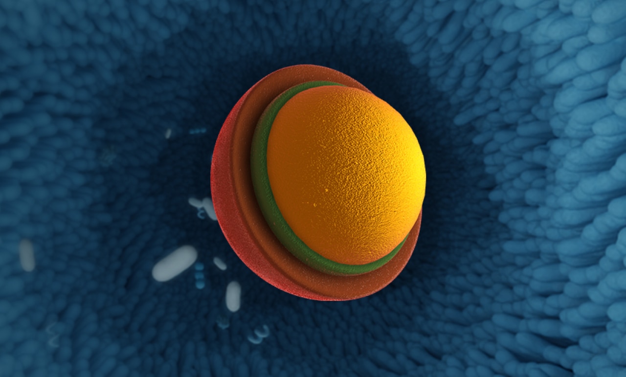 Humiome B2 image 