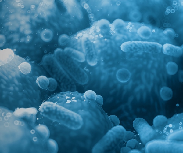 Humiome postbiotics