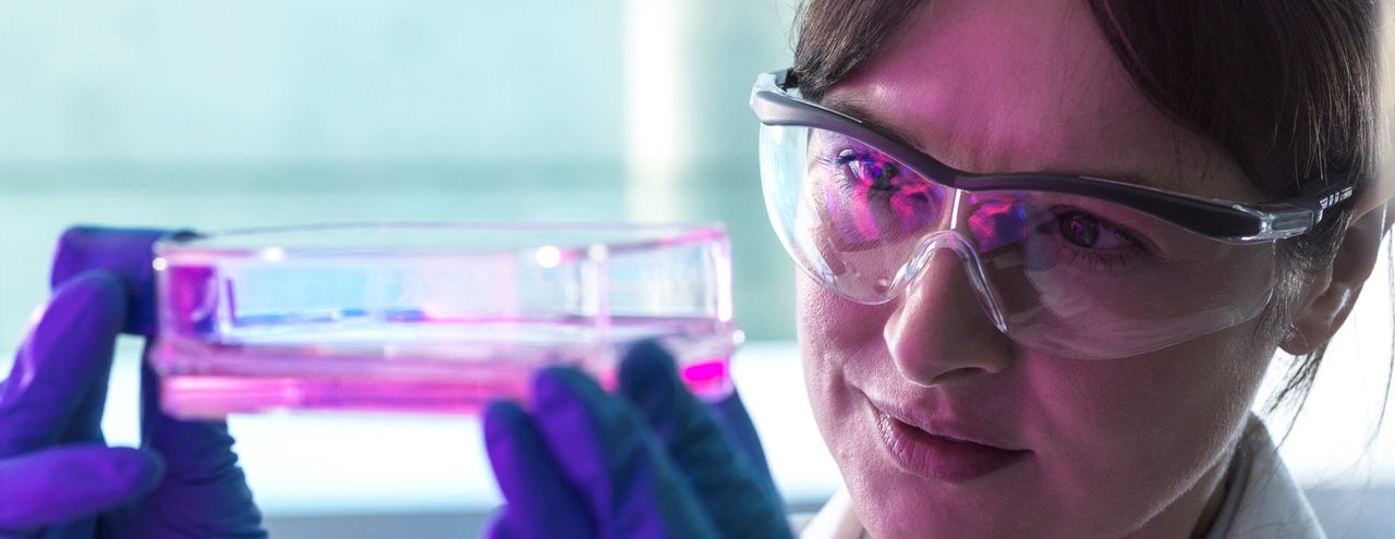 Scientist with protective glasses examining cells in glassware at medical lab