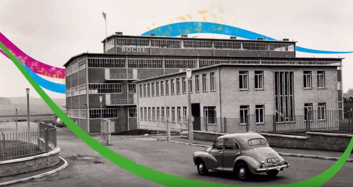 dalry-scotland-plant.jpg