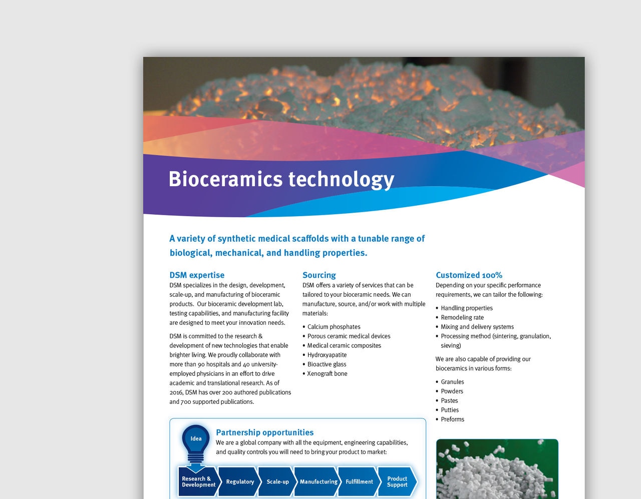 1. DBM-Datasheet-Bioceramics technology.jpg