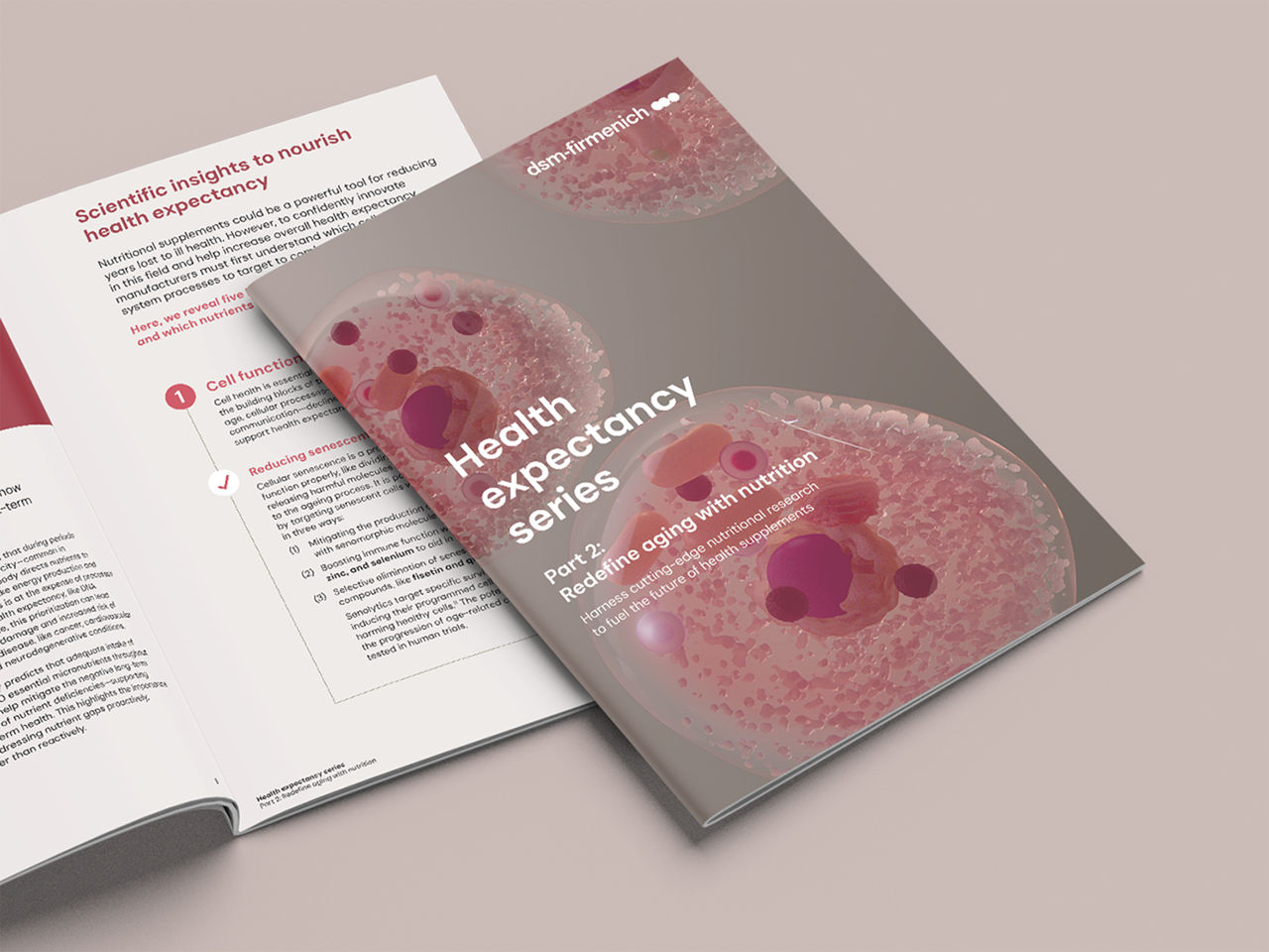 Health expectancy whitepaper 2 mockup image