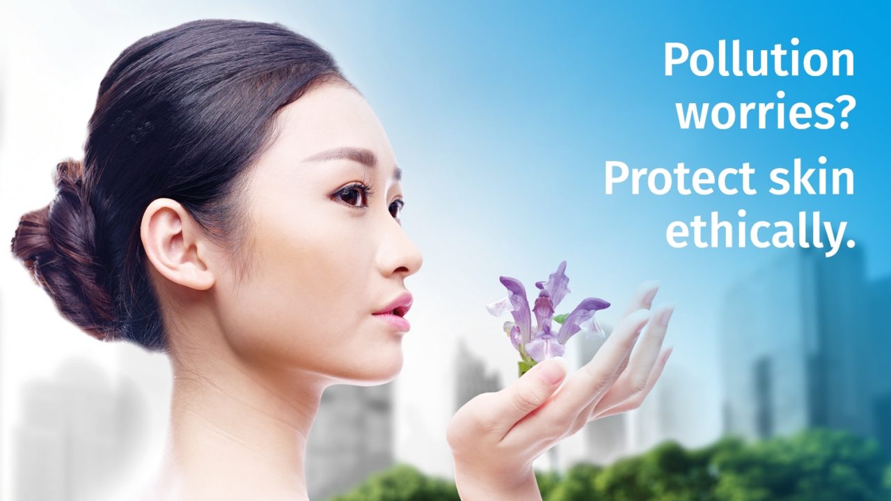 Organic skin bioactive ingredient ALPAFLOR® SCUTELLARIA AO