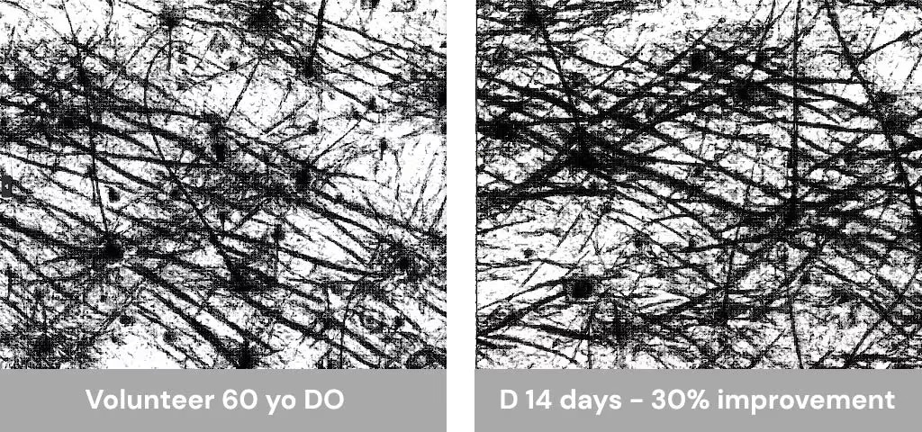 Eterwell Youth scientific results