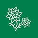 icon-herbs-natural-organic-certified-ingredients.jpg