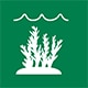 icon-algae-natural-organic-certified-ingredients.jpg