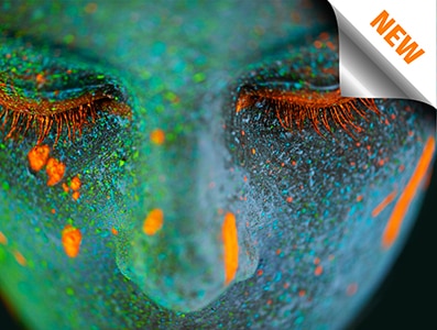 Shot of a young  woman posing with neon paint on her facehttp://195.154.178.81/DATA/shoots/ic_784268.jpg