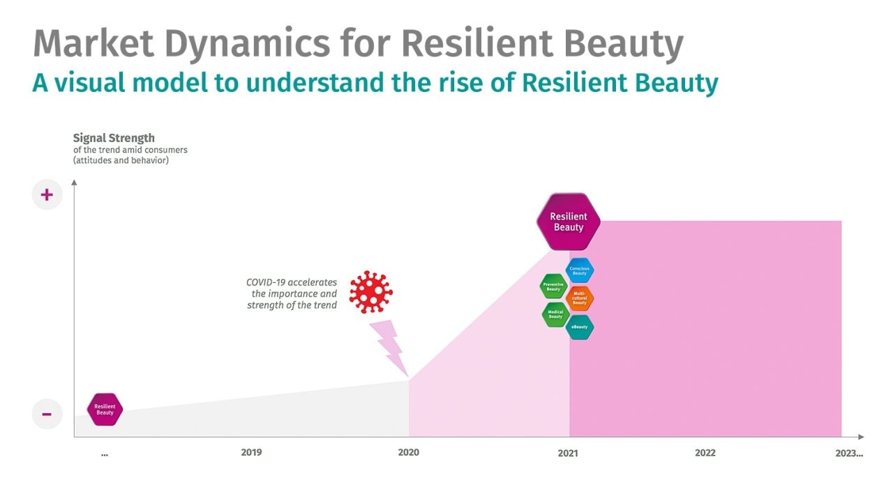 resilient_beauty_graph.jpg