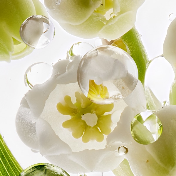 Beyond muguet image