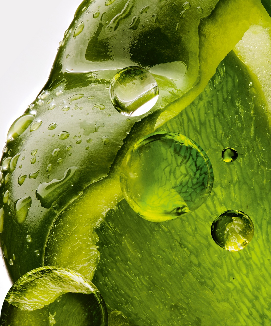 Green Bell Pepper