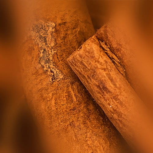 Dihydroestragol asset