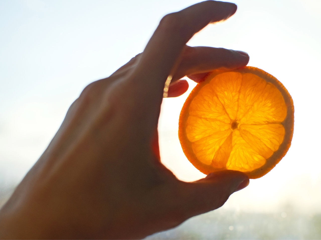 ECOSCENT COMPASS