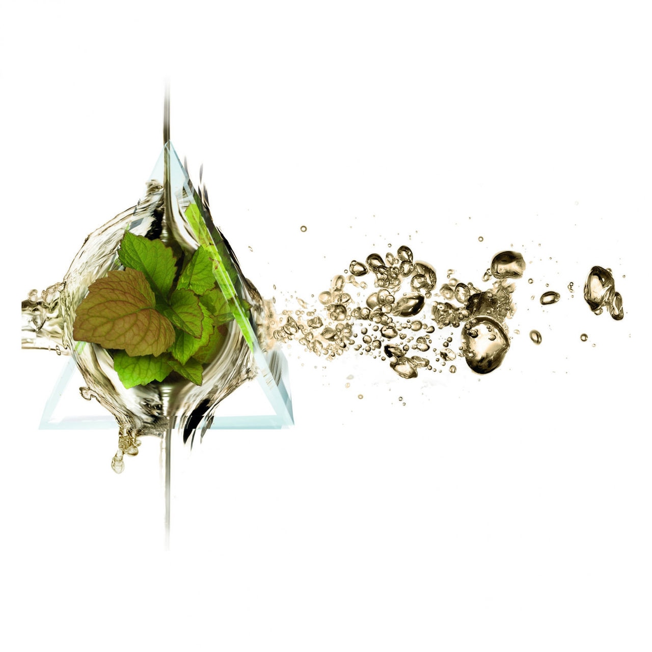 ECOSCENT COMPASS