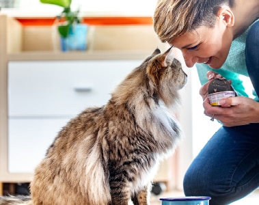 petfood_web_image_1.jpg