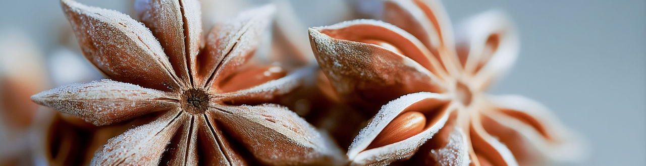 Flavor of the Year 2026