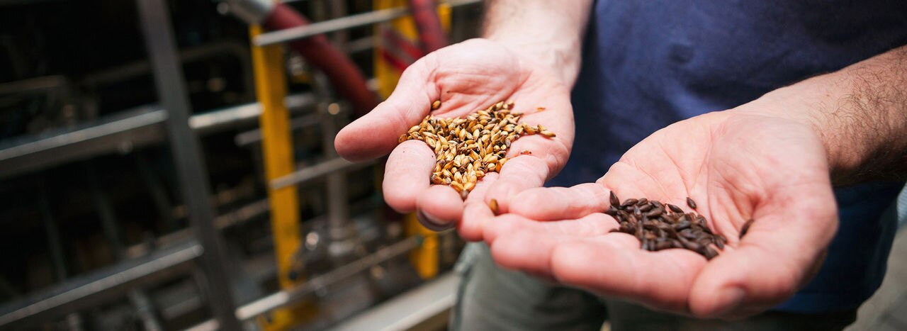 Series set around the process of making beer, in a US microbrewery.