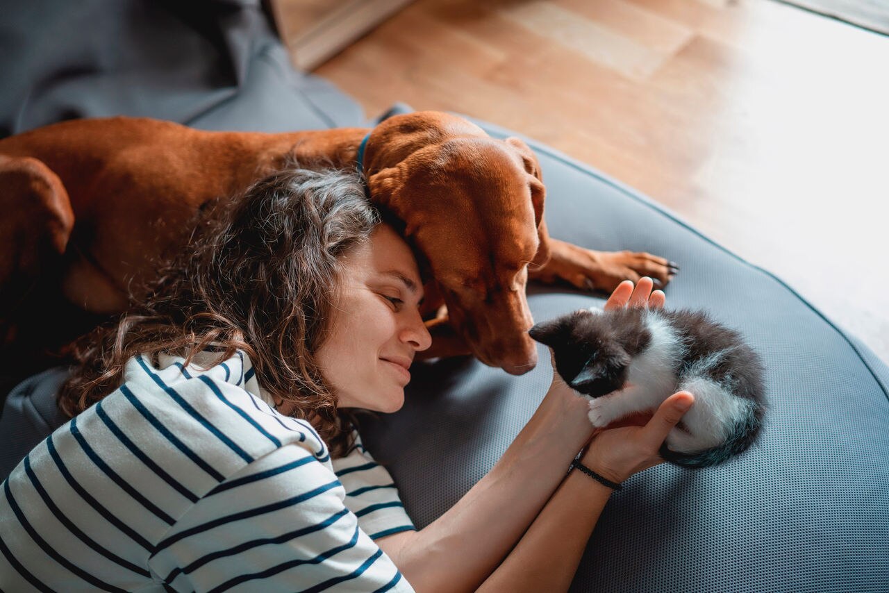 Portrait of a young woman with a Hungarian Pointer dog and a small kitten in her arms lying at home