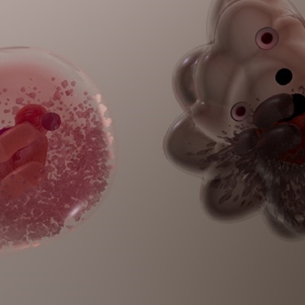 Imagen de la senescencia celular