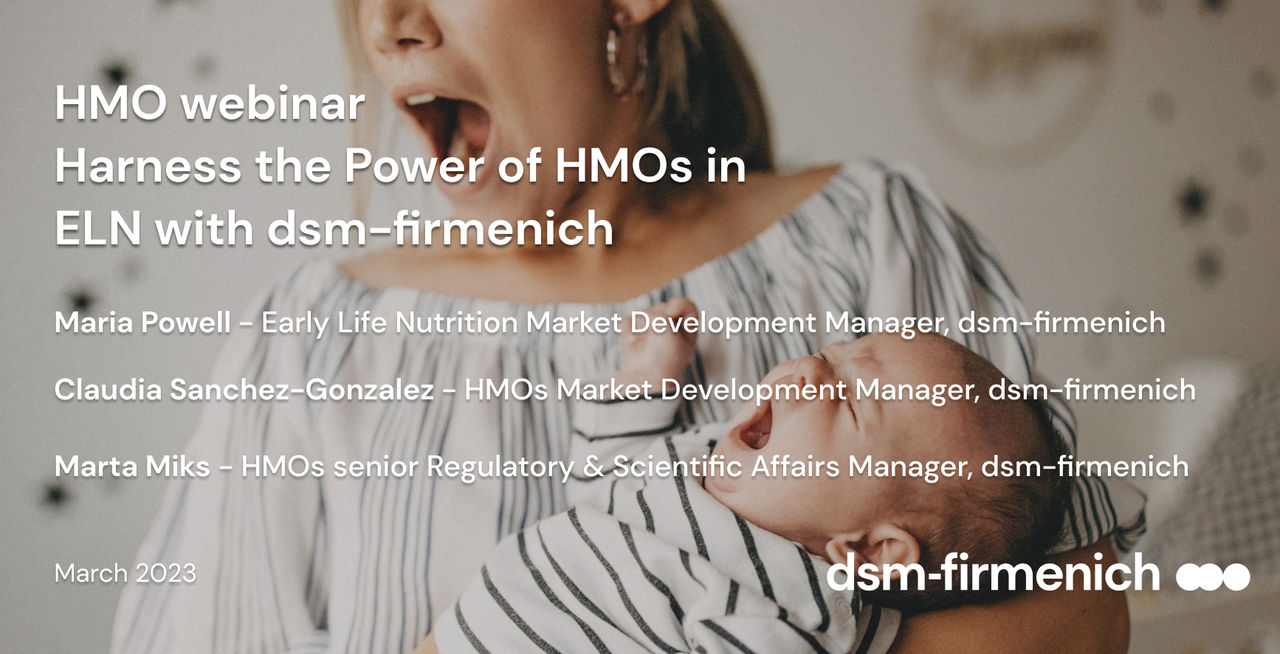 hmo webinar screengrab