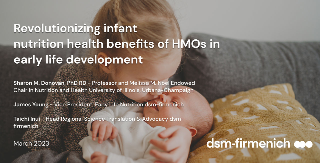 hmo webinar screengrab