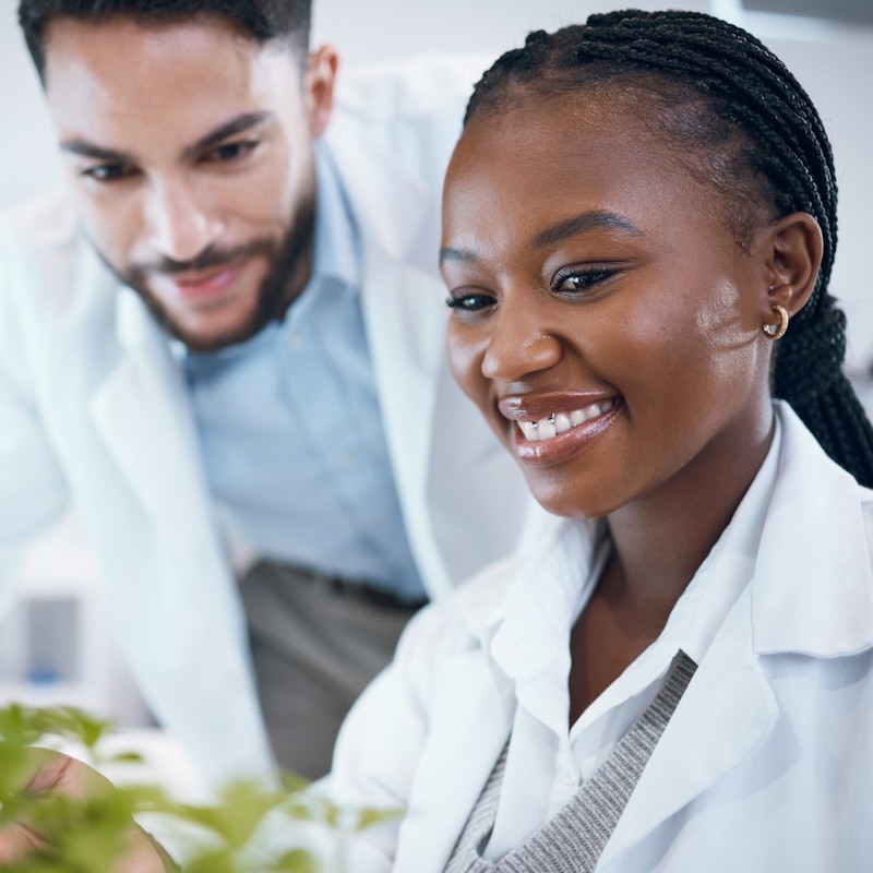 Science plants, teamwork and scientist people in pharmaceutical research, sustainable or herb medicine. Medical pharmacist and happy internship partner in laboratory for eco friendly, growth solution.