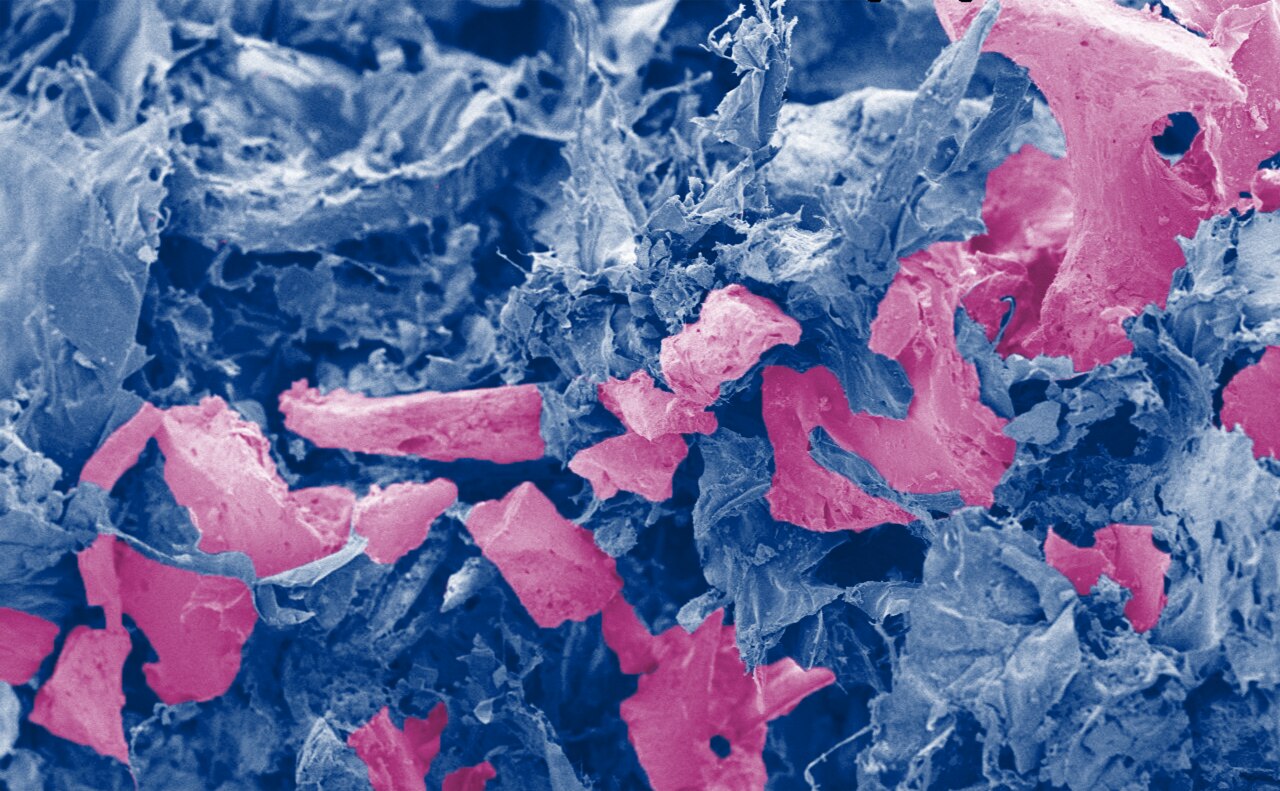 4. DBM-Product-Natural Biomaterials.png