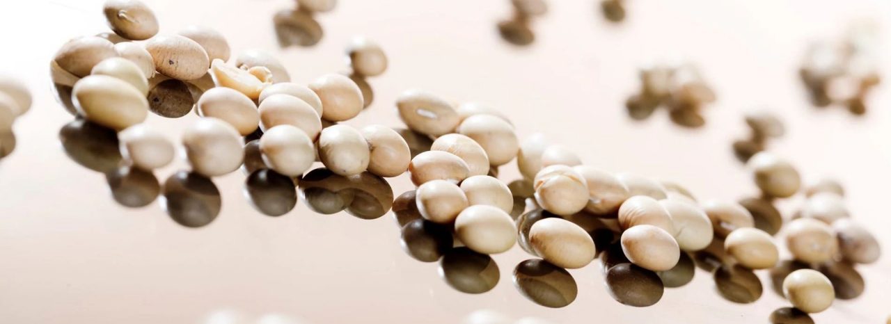banner-ingredient-processing-fats-and-oil.jpg