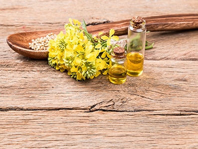 tile-ingredients-purifine-pla1-for-biodiesel.jpg