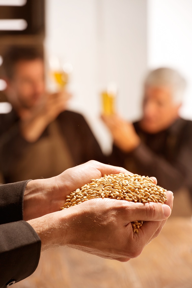 insights-beverage-hands-full-of-grains.jpg
