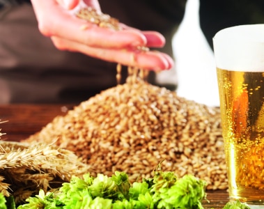 tile-brands-beverage-brewers-compass.jpg
