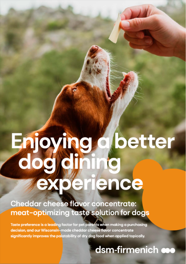 Perro siendo alimentado con una golosina.