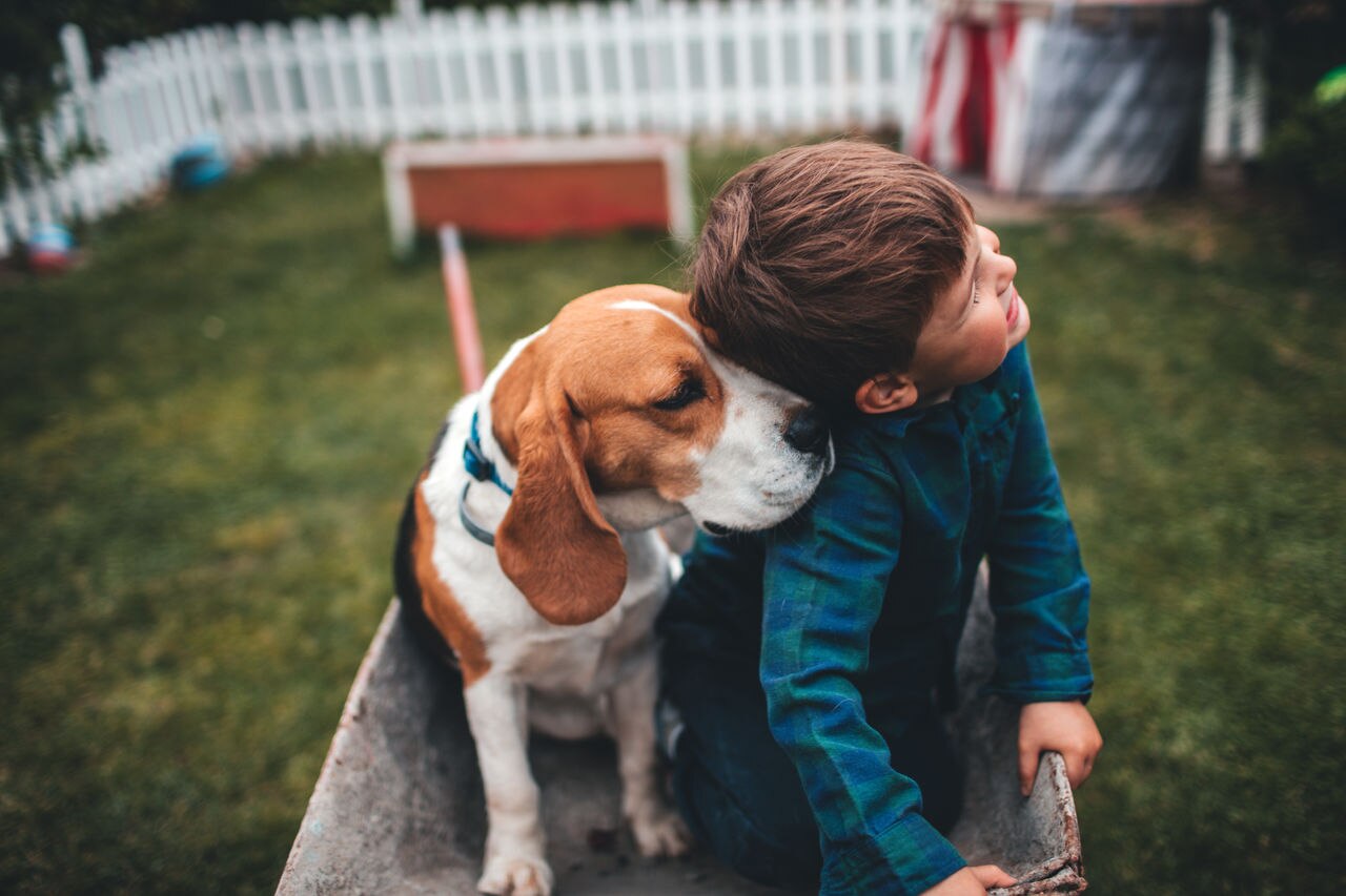 Photo of little smiling boy and his dog having fun outdoors, driving together in a wheelbarrow.