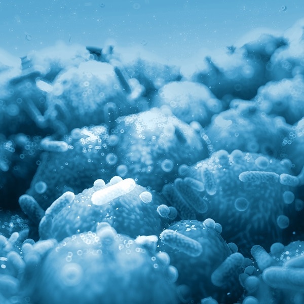 Image 2FL