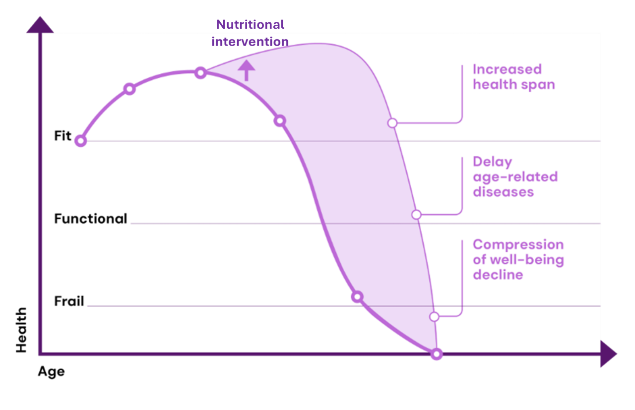 Figure 1 graphique