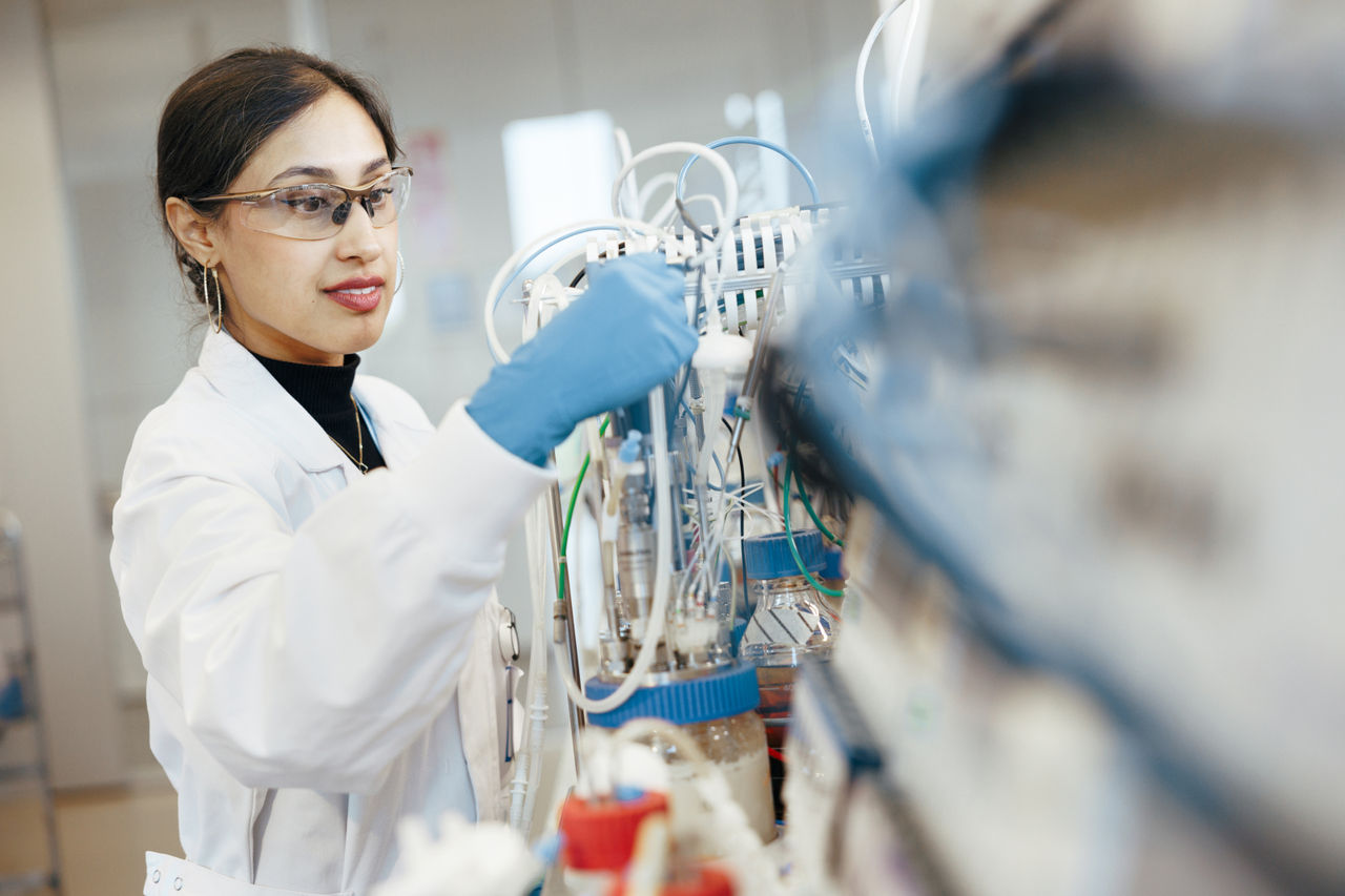 famille s'amusant ensemble dans la cuisine